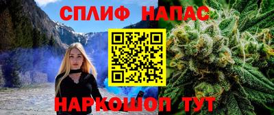 СК Славянск-на-Кубани