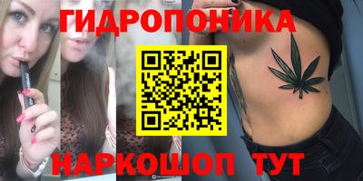 прущие крисы Славгород