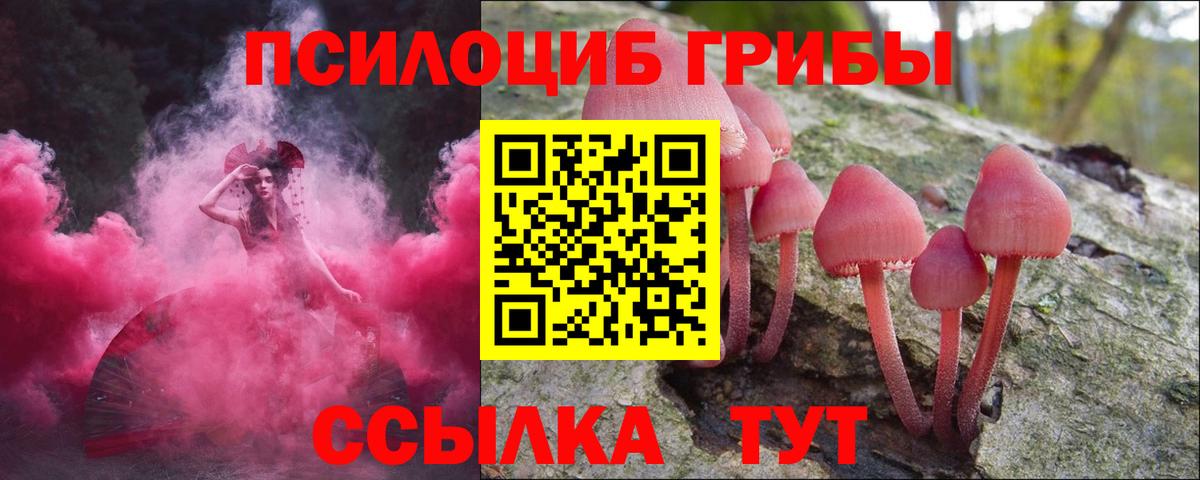 Нефтекамск  Псилоцибиновые грибы мухоморы  цены   Псилоцибиновые грибы прущие грибы  Вход с VPN 